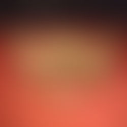 IL TESORO DI SAN GENNARO              (di CarloMaria Rossetto)