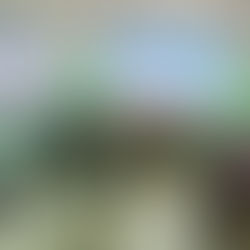 Donne al fianco delle donne                  (di Ginevra Novi)