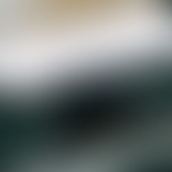 La vita...giornalistica                           (di Leonardo Cappelli)                                    