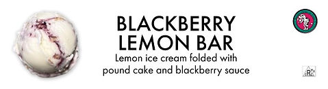 Blackberry-Lemon-Bar.jpg