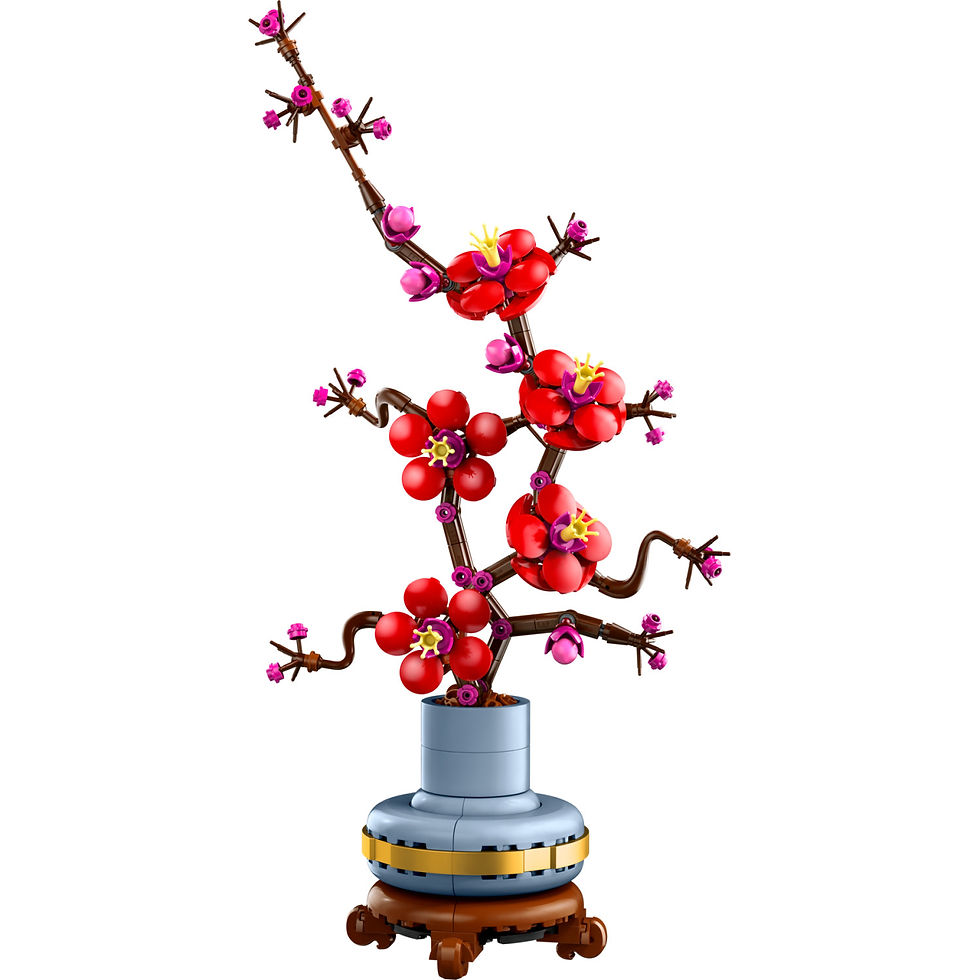 Miniatura: 10369 ALBICOCCO GIAPPONESE