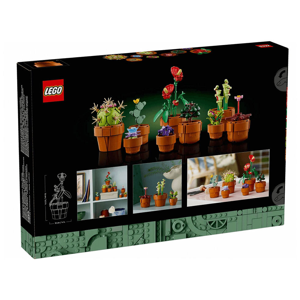 Miniatura: 10329 PIANTINE