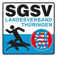 Logo LV Thüringen_edited_edited.jpg