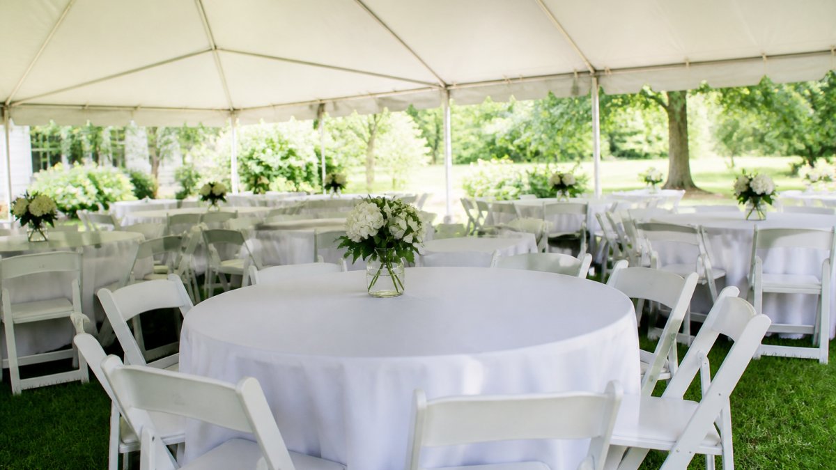 Questions to Ask Party Rental Companies: 2026 Guide