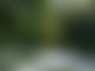 Munich, Germany (European Road Trip Series #2)