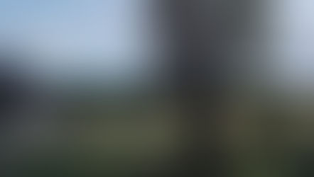 A Weekend in the Countryside