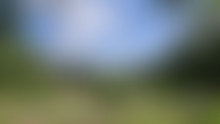 Pokeyland | Amusement Park in Moselle, France