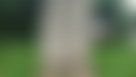 Druidenpfad |The Land of Druids in Rehlingen-Siersburg, Germany