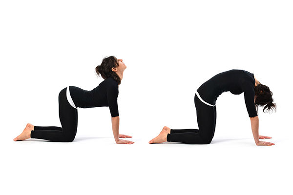 Person on hands and knees flowing between Cat and Cow poses, arching and rounding the back to release tension.