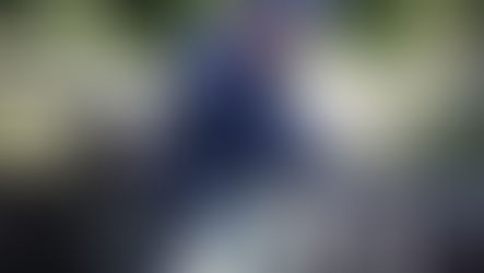 What happens if a Sewage Treatment Plant is not serviced?