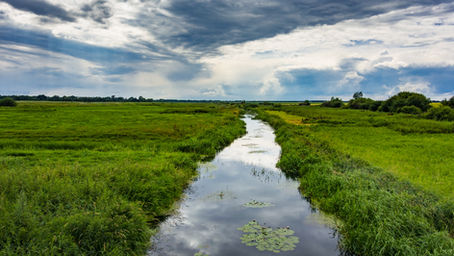 Could your sewage system be polluting the local environment?