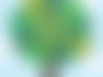 My Holiday Gift to You!