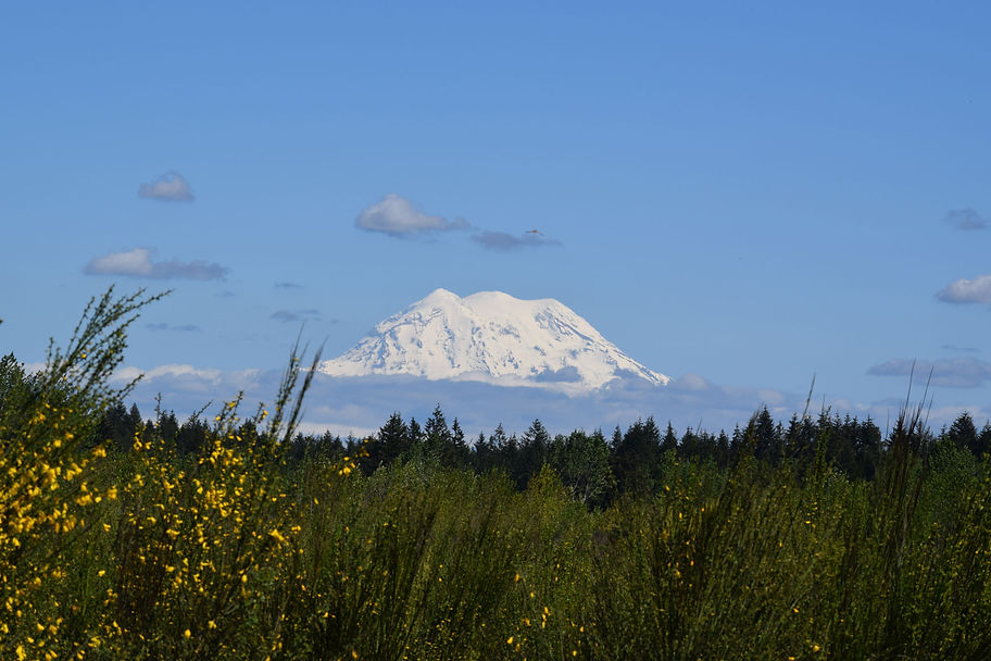 Homes for Sale near JBLM