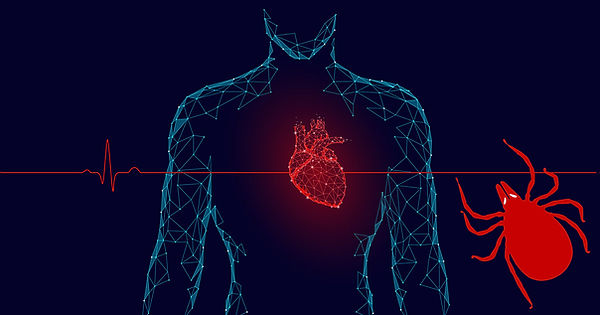 fb-lyme-disease-carditis.jpg