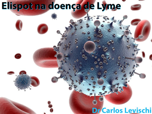 ELISPOT na doença de Lyme