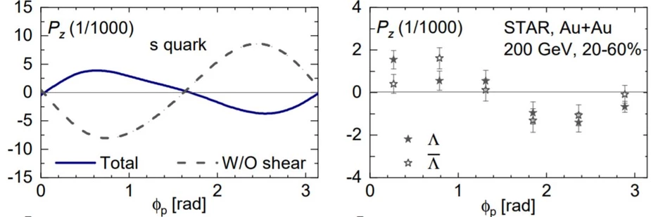 Left: the theoretical calculation for strange quark polarization that includes the SIP effect (solid) or does not include the SIP effect (dashed); Right: Lambda polarization measured by experiments. Credit: PRL
