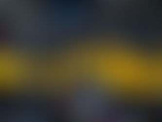 Protesters in Thailand used large inflatable ducks to protect themselves from the police