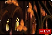st patricks livestream4