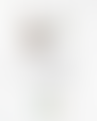 Dia Mundial da Paz em 1º de Janeiro! 🕊️