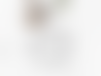 Dia Mundial da Paz em 1º de Janeiro! 🕊️