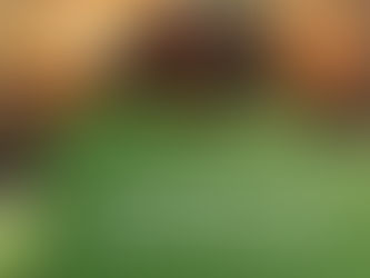 B14 CHEGOU: O QUE ISSO MUDA PARA VOCÊ?
