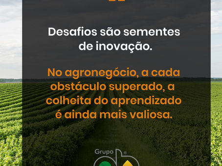 "Desafios são sementes de inovação."