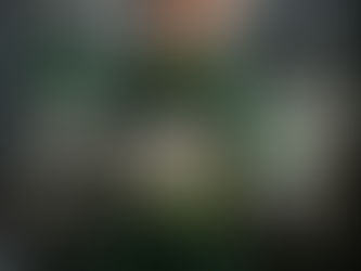 Visibilidade não é luxo, é segurança! 🛡️ Se o seu para-brisas está um caos, a solução é +ProVision.