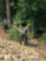 PXL_20250602_152107540.MP-min.jpg
