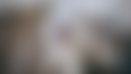 Love, Spay/Neuter: Happier, Healthier Pets!