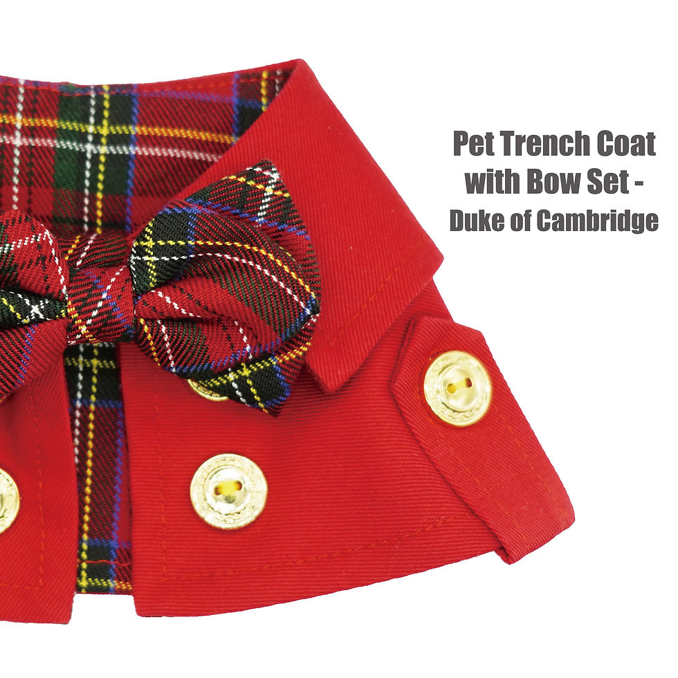 ZAZAZOO - Duke of Cambright Bow Set 劍橋風衣連領結套(Classic Red 經典紅)