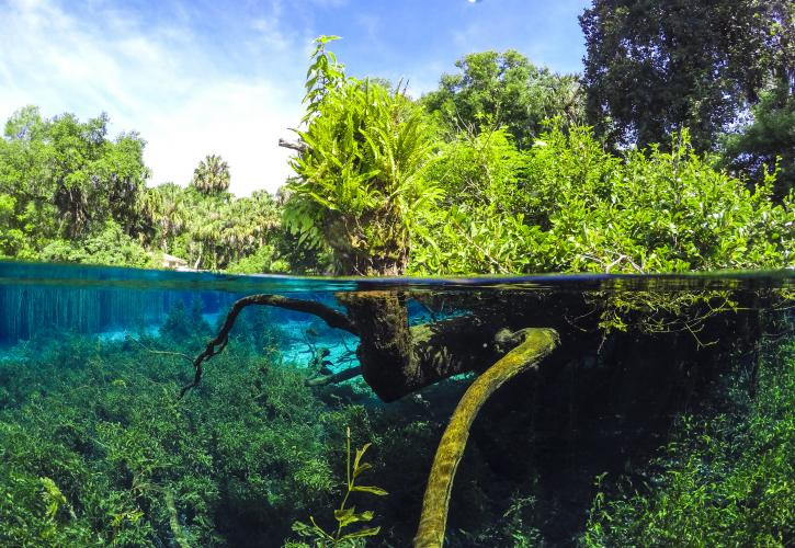 Underwater view of the spring