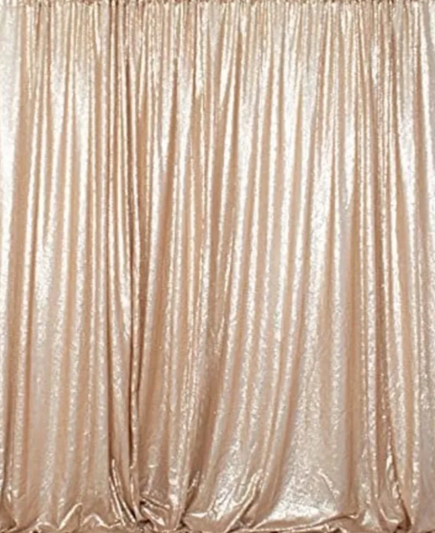 champagne sequin.png