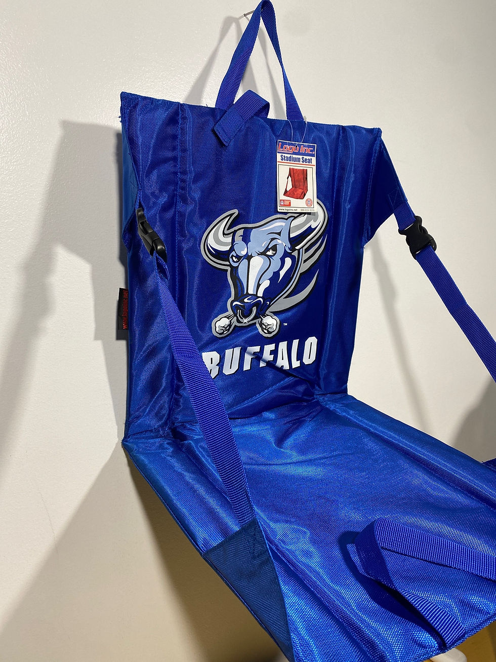 Thumbnail: VTG Buffalo Stadium Seat 