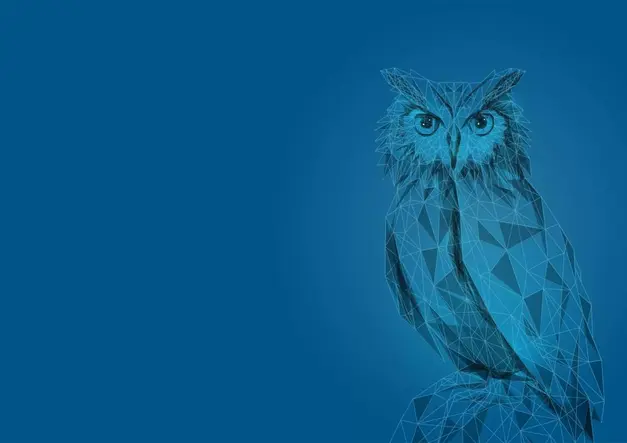 BlueOwl_header-1920x1080-1.webp