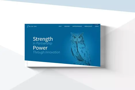 BlueOwl_CaseStudy-03