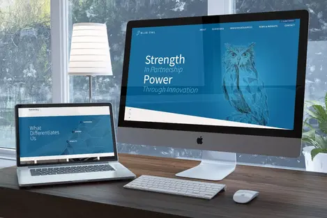 BlueOwl_CaseStudy-04