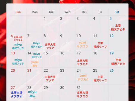 フラメンコレッスンの見学に来ませんか?(生伴奏つきのレッスン)