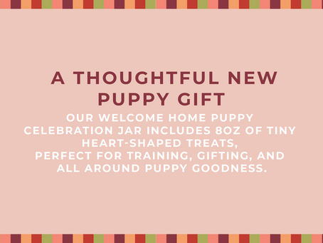 Welcome Home, Puppy: A Sweet Little Gift for a Very Big Moment