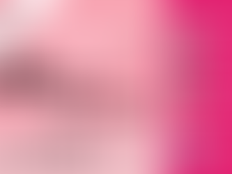 フリーウェディングプランナー向け 法務セミナー&セッション