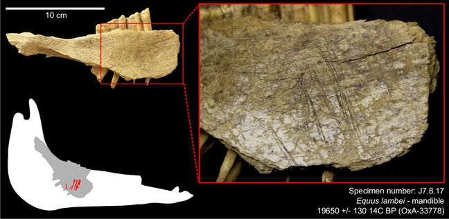 [CAS] Los primeros humanos llegaron a América 10.000 años antes de lo que se creía