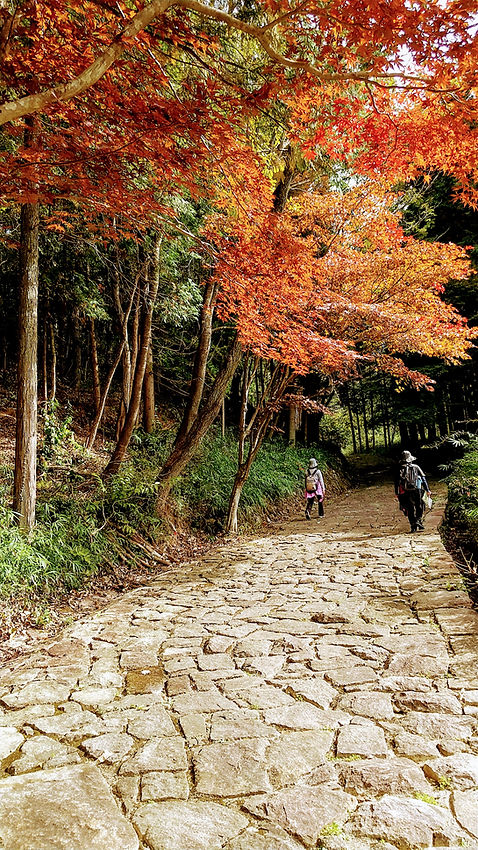 御嵩 秋の姫街道.JPG
