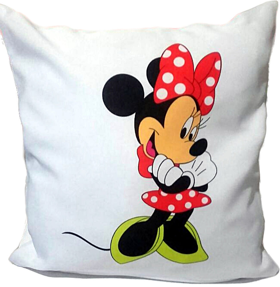 ALMOHADONES SUBLIMADOS PERSONALIZADO