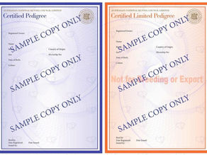 Pedigree Papers & Registered Breeders