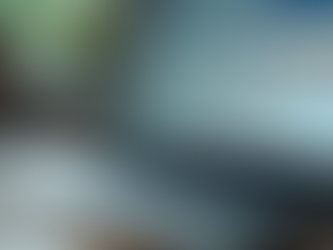 Unleashing Potential with Expert Social Solutions