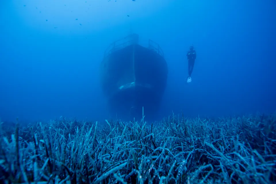 Posidonia çayırlarının üzerinde duran batık gemi ve bir dalgıç. Tarihi ve biyolojik öneme sahip batık dalış noktaları.