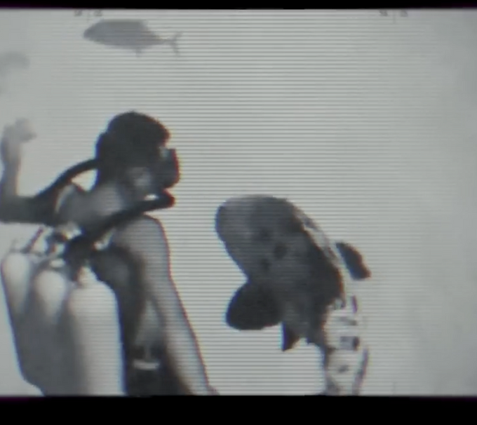 Orfoz Belgeseli - Resifin Efesi (2020)