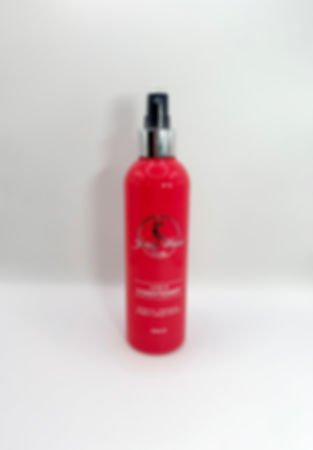 Leave in Conditioner - Argan Infused