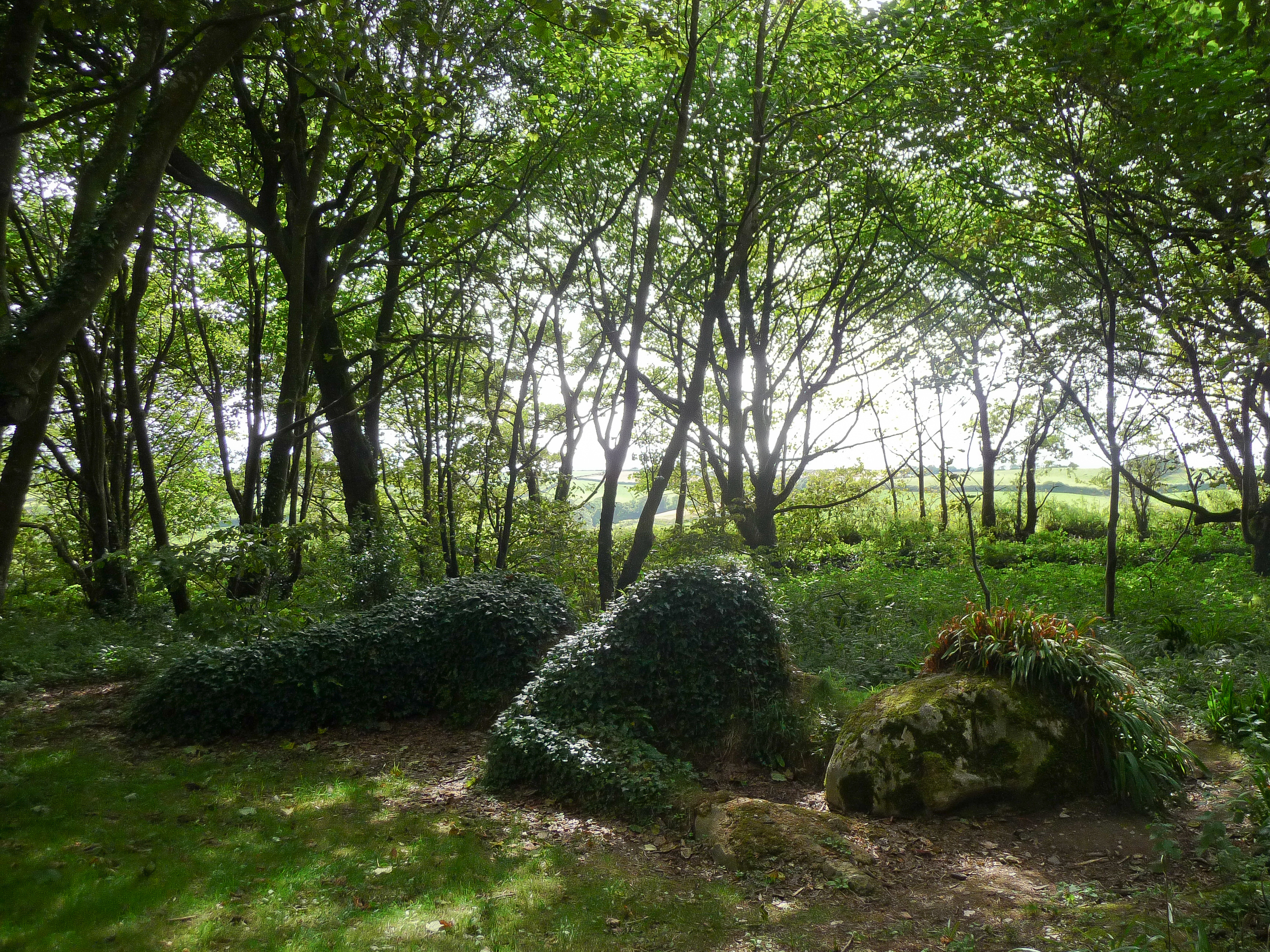 Suedengland2011_240