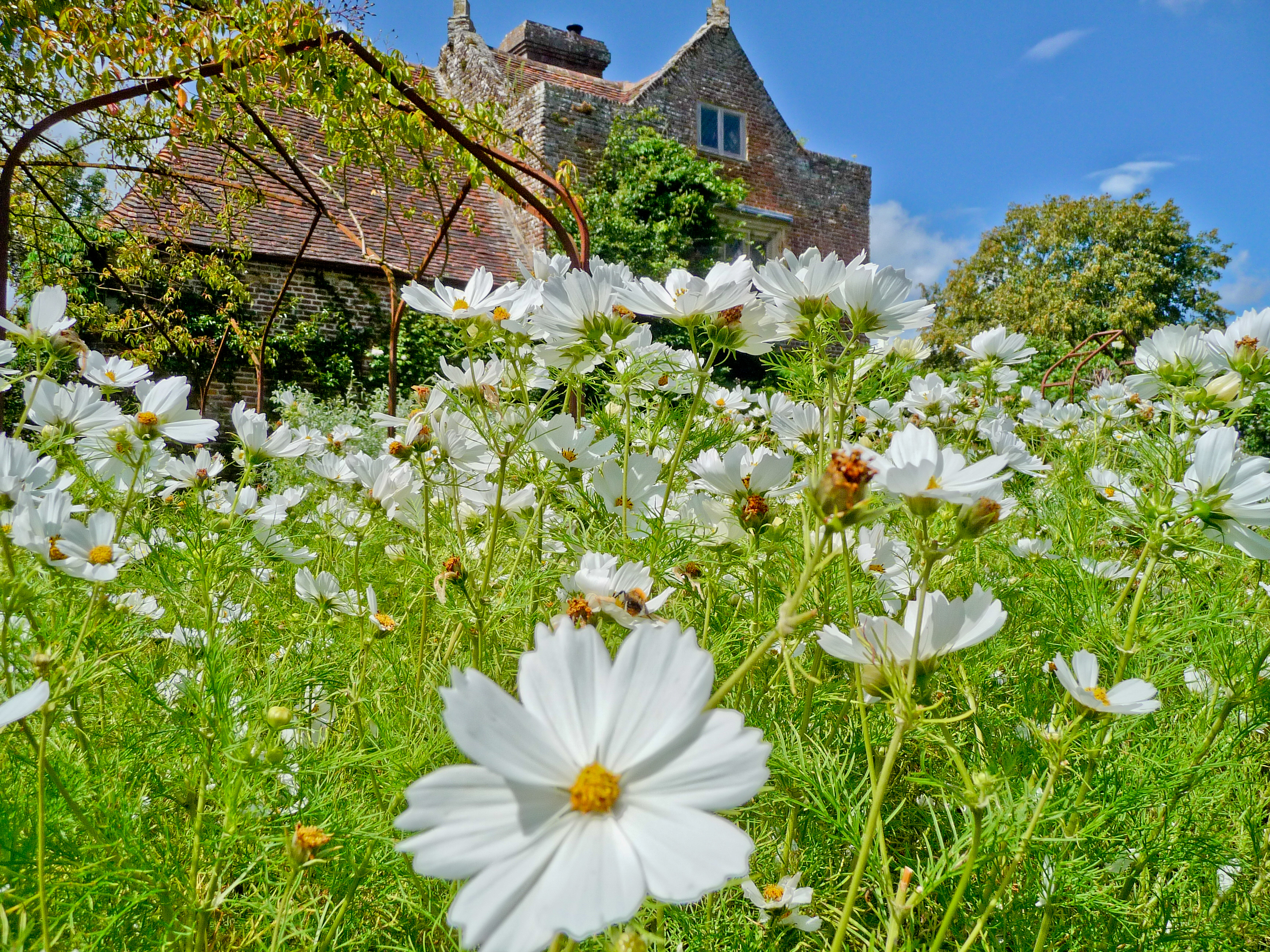 Suedengland2011_368