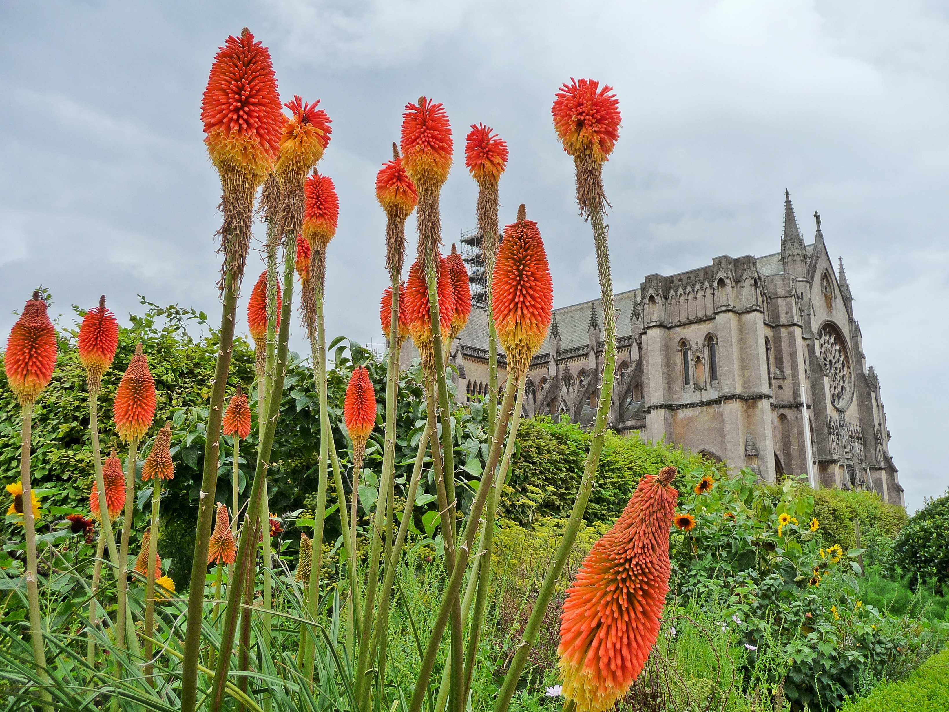 Suedengland2011_356